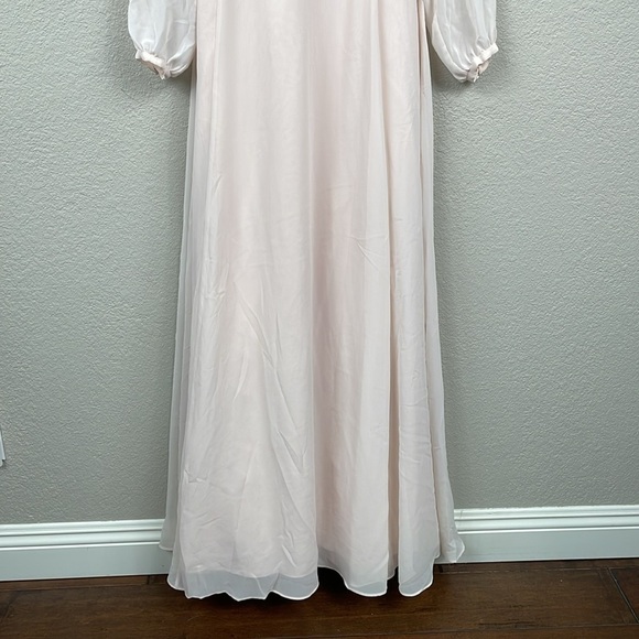 NWT Watters & Watters x BHLDN Nova Maxi Dress Ice Pink Chiffon Sz 2 - Picture 5 of 13